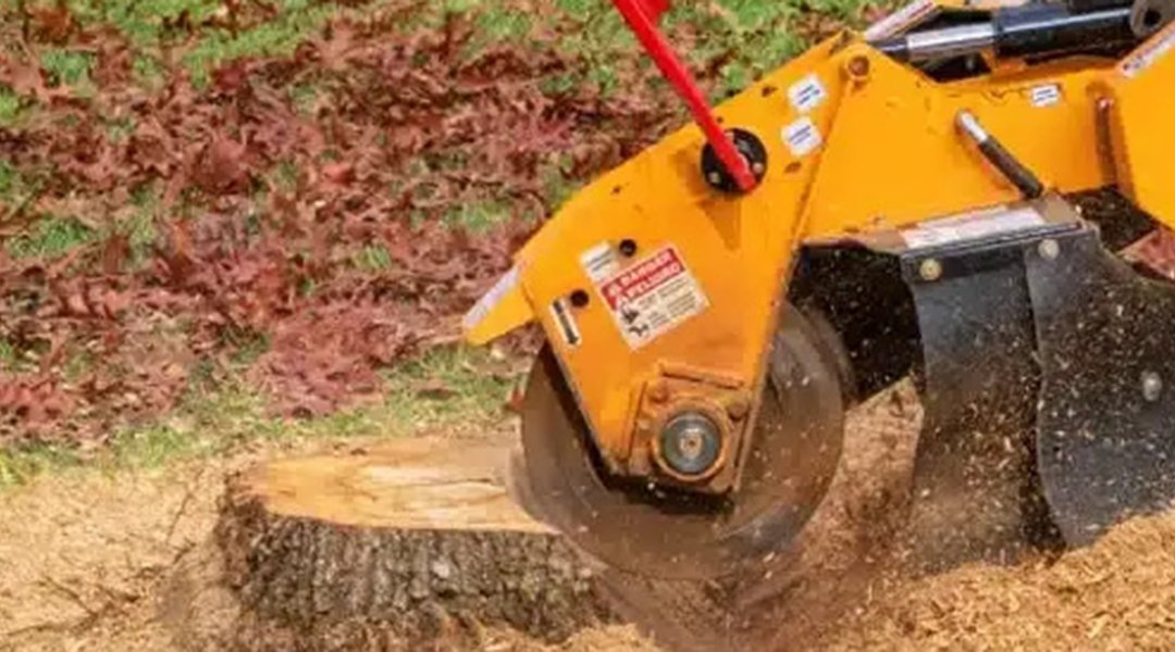 How Long Does It Take To Grind a Tree Stump?