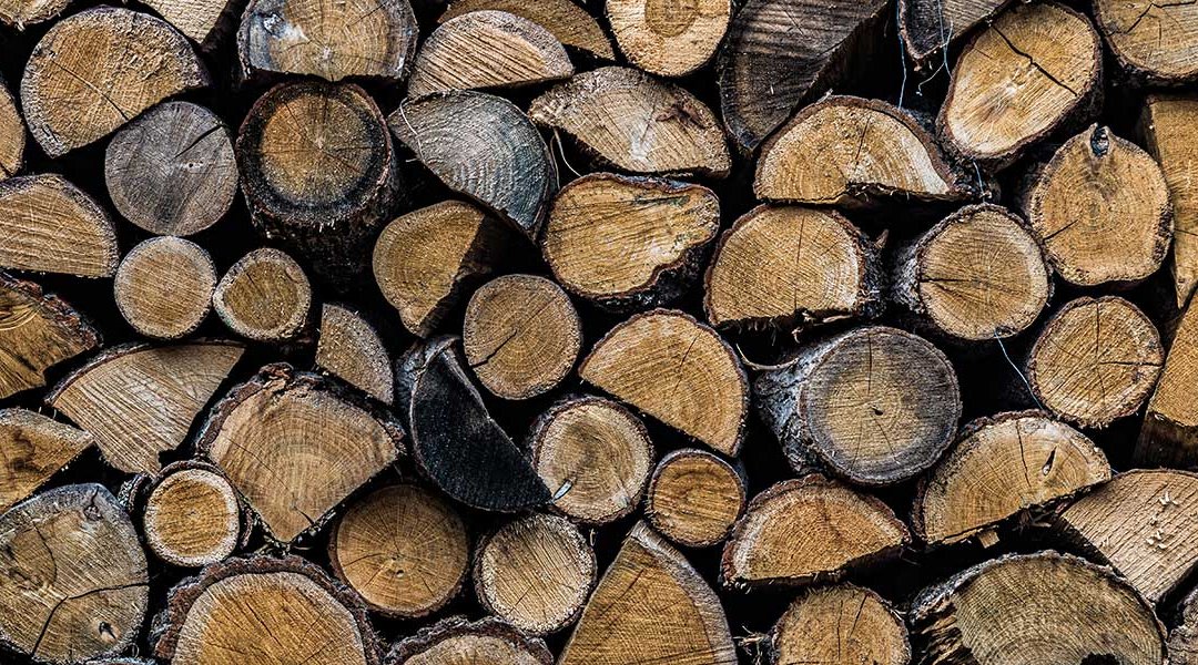 How To Choose the Right Firewood for Efficient, Long-Lasting Heat