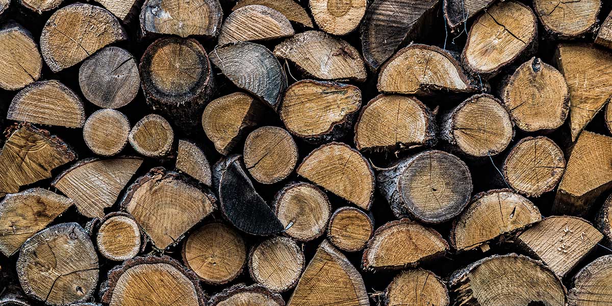 how to choose firewood how to choose firewood