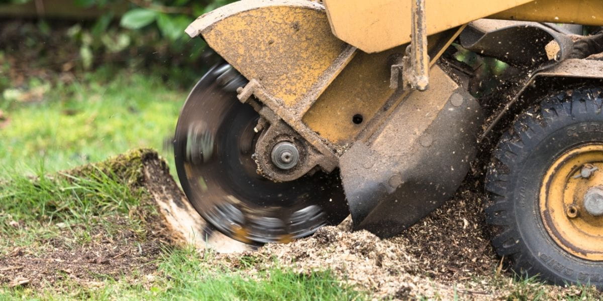 benefits of stump grinding benefits of stump grinding